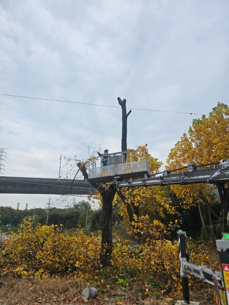남양주시 오남읍 스카이차 정밀 작업 실제 현장